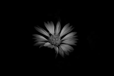 black and white