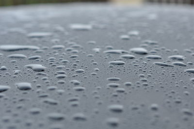 Close-up of water drops on leaf