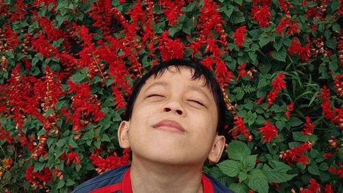 Close-up of boy with red flower