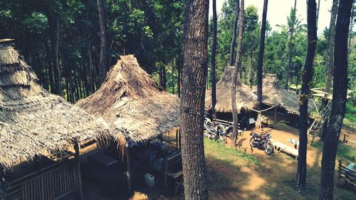 Panoramic view of trees in park
