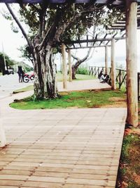 Empty bench in park