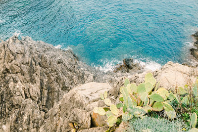 High angle view of rocks on beach