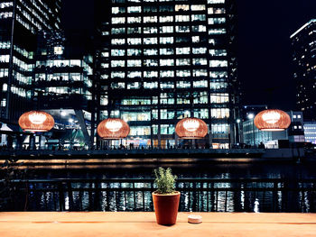 Potted plants on illuminated building at night