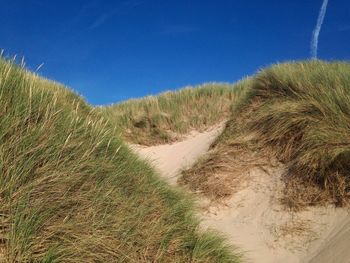 Scenic view of landscape against clear blue sky