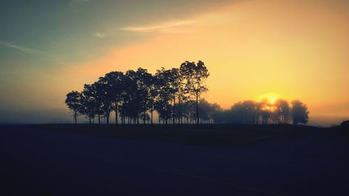 Silhouette of trees at sunset