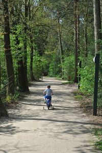 Rear view of boy riding bicycle on road amidst trees