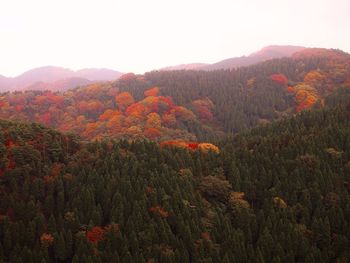 Scenic view of mountains