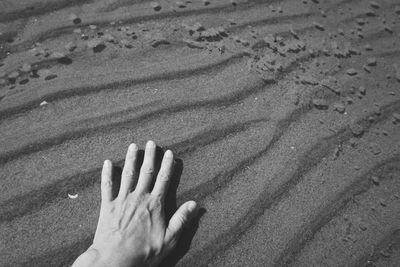 Cropped hand on sandy beach