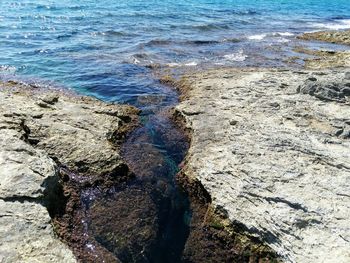 High angle view of rocks on beach