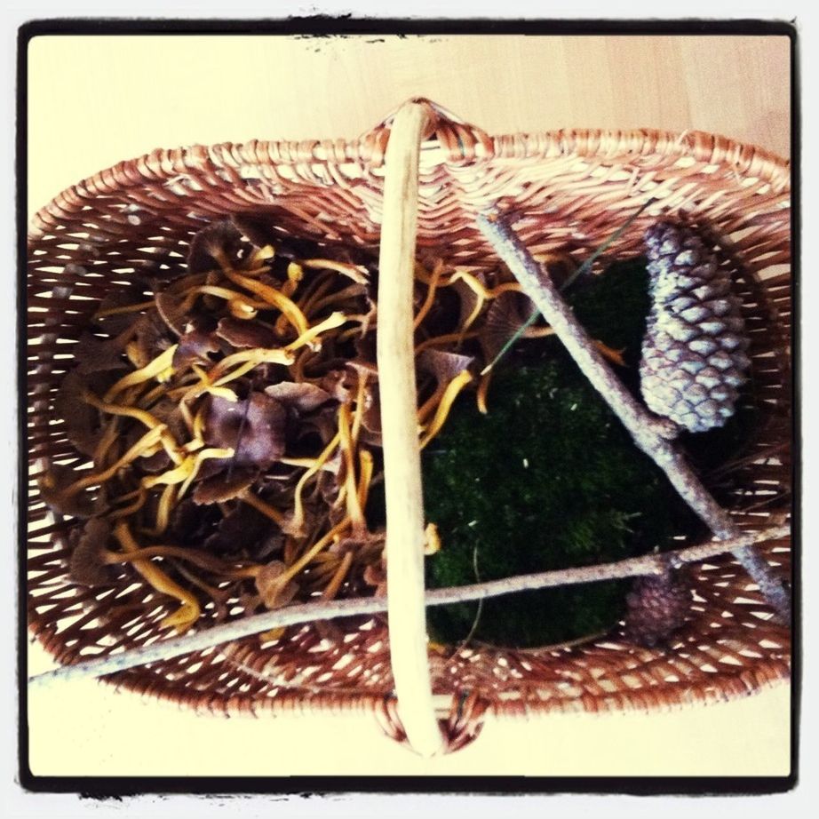 transfer print, close-up, still life, indoors, auto post production filter, food, food and drink, high angle view, healthy eating, metal, wood - material, no people, basket, freshness, table, directly above, wicker, pattern, day, raw food