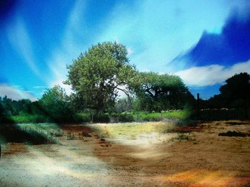 Trees on field against cloudy sky