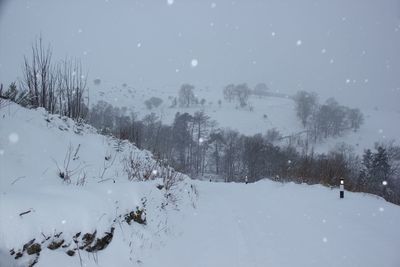 Frozen trees on landscape against sky