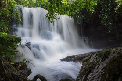 Scenic view of waterfall in forest