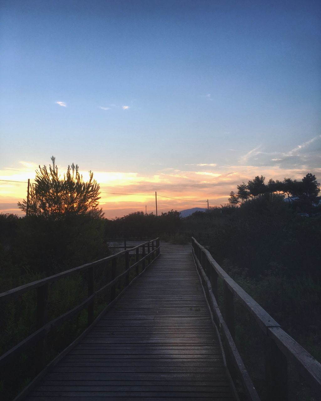 FOOTBRIDGE AMIDST TREES AGAINST SKY