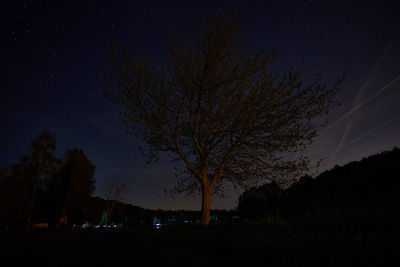 Low angle view of bare trees against sky at night