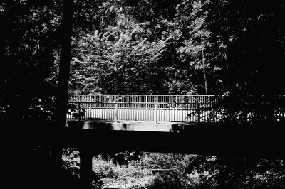 View of bridge in park