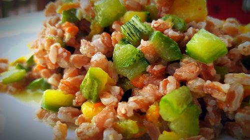 Close-up of meal served in plate