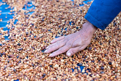 Low section of man standing on pebbles