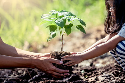 Mother and daughter planting on field