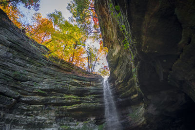 Low angle view of waterfall in forest during autumn