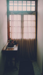 Potted plant on table by window at home