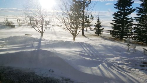 Scenic view of snow covered landscape