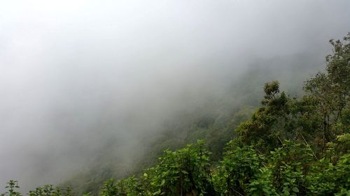 Scenic view of tree mountains against sky during foggy weather