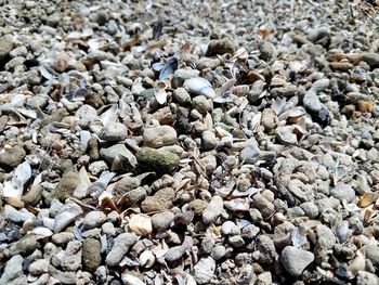 Full frame shot of pebbles on beach