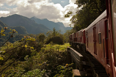 Train amidst trees against sky