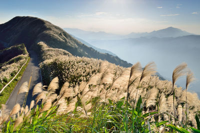 View of mountain range