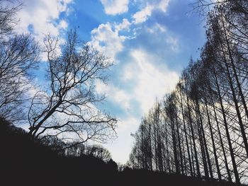 Low angle view of bare tree against cloudy sky