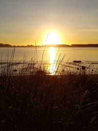 Scenic view of sunset over sea