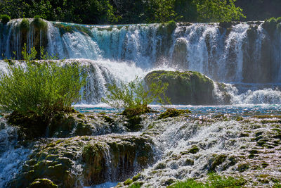 Scenic view of waterfall in forest