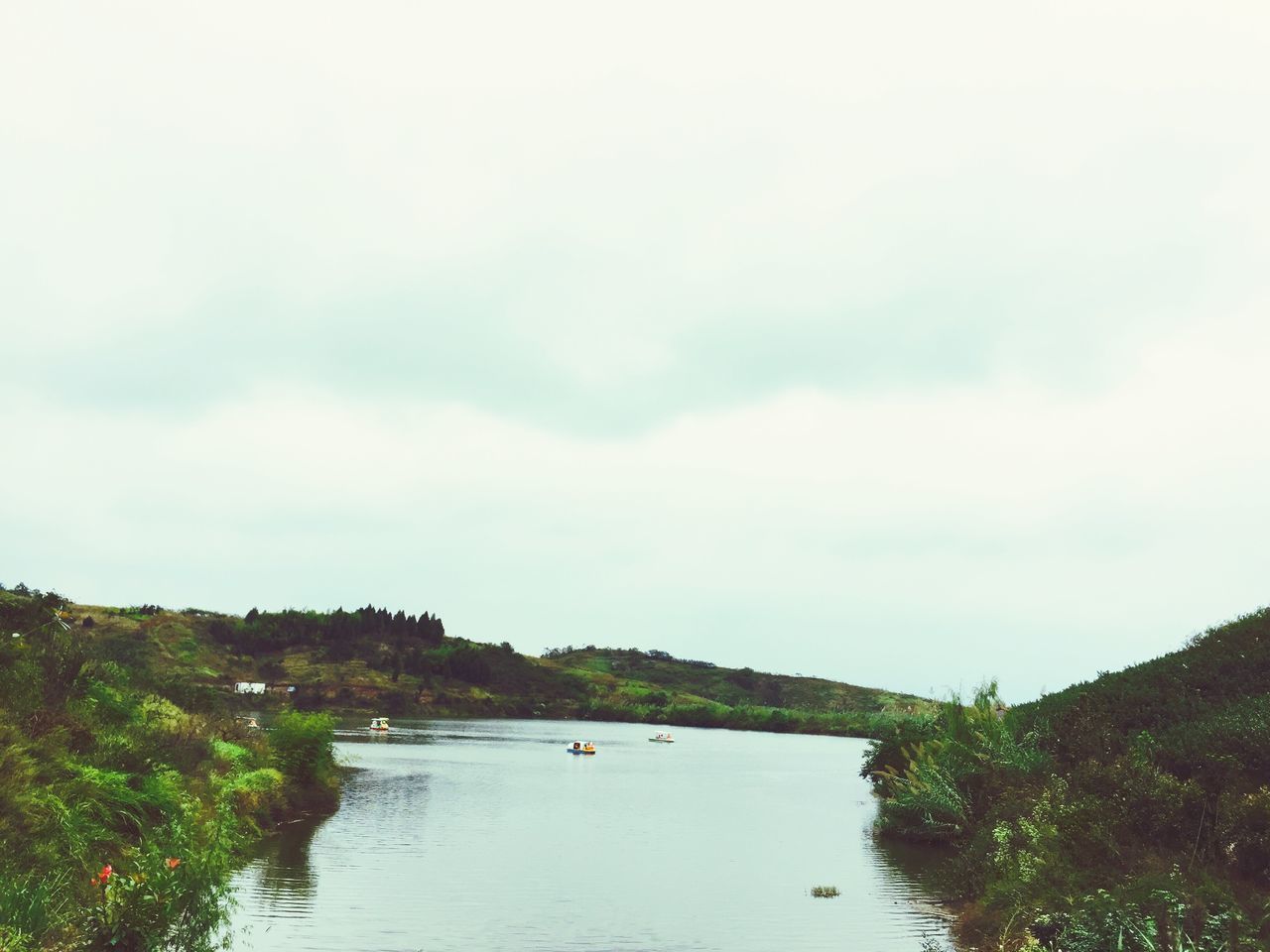 water, sky, tranquil scene, tree, tranquility, scenics, nature, beauty in nature, lake, river, cloud - sky, growth, plant, waterfront, day, landscape, cloudy, overcast, grass, outdoors