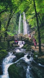 People enjoying in forest