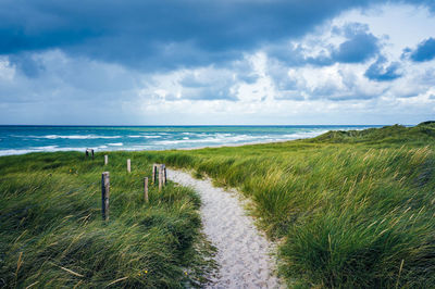 Sand path through dunes to the ocean