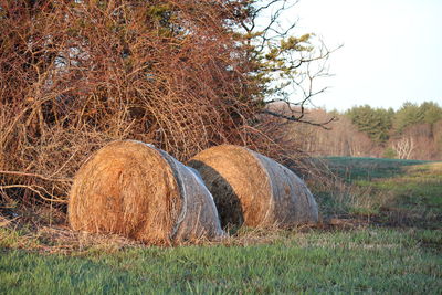 Hay bales on field against sky