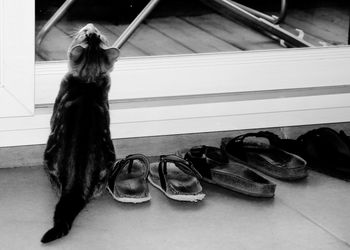 Close-up of shoes on tiled floor