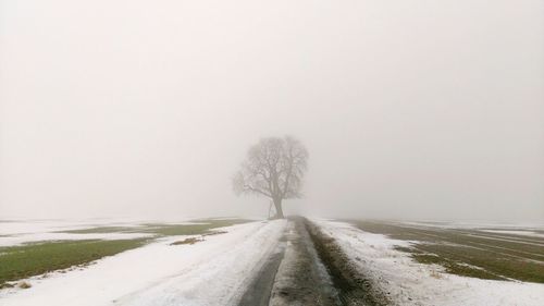 Road by tree on snow covered landscape against sky