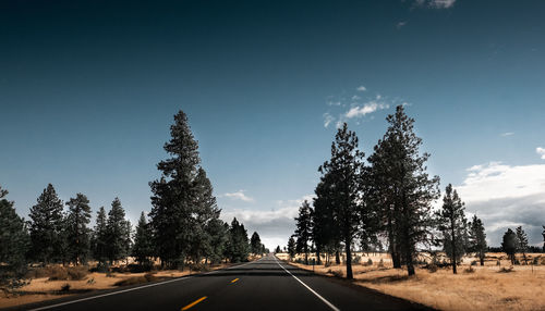 Road by trees against sky