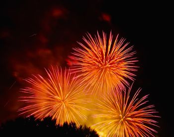 Low angle view of firework display at night