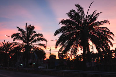 Silhouette palm trees against sky during sunset