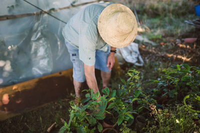 Man holding potted plant