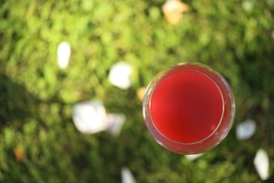 Close-up of red ball