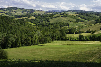 Scenic view of trees on field against sky