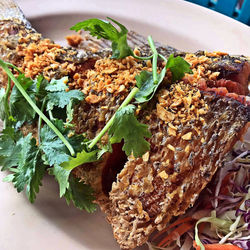 High angle view of food in plate