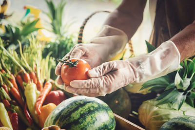 Midsection of woman holding fruit