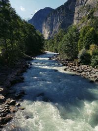 Scenic view of river amidst trees against sky