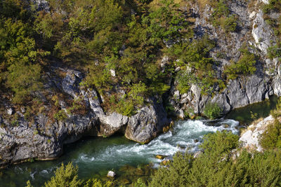 Scenic view of river flowing through rocks in forest