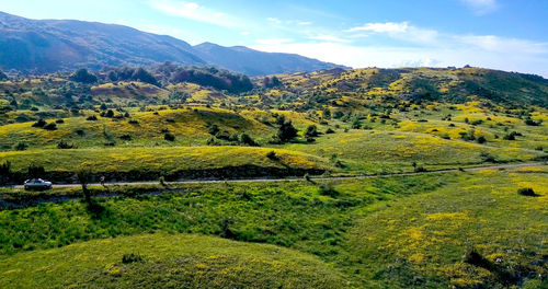 Scenic view of field against sky